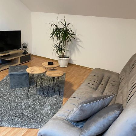 Despot Apartmani Mladenovac Dış mekan fotoğraf